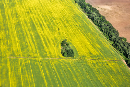 Aerial view over agricaltural field