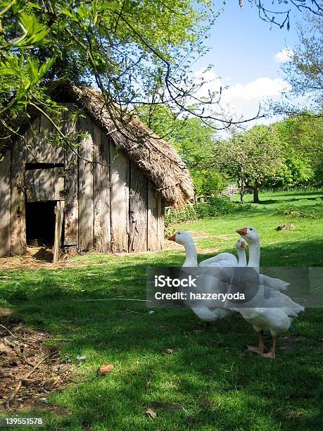 Rural Scene Crop Stock Photo - Download Image Now - Farm, Normandy, Shack