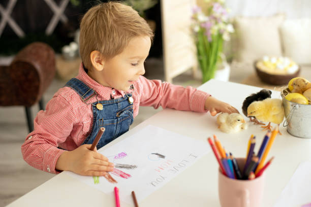 ragazzo carino, bambino in camicia rossa, immagine di disegno per la festa della mamma, piccoli pulcini sul tavolo - baby chicken human hand young bird bird foto e immagini stock