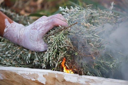 Australian Aboriginal Ceremony, man's hand with green branches and flame, start a fire for a ritual rite at a community even in Adelaide, South Australia