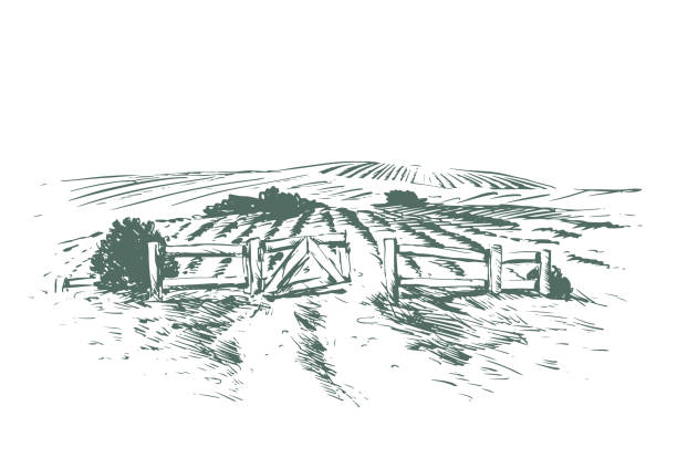 ilustrações, clipart, desenhos animados e ícones de desenho do portão da fazenda - farm fence