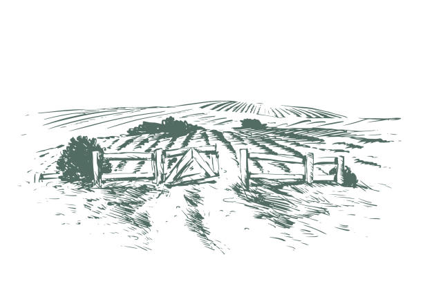 чертеж ворот фермы - farm gate rural scene non urban scene stock illustrations