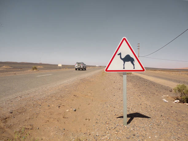 モロッコの道路の隣にあるラクダの警告標識では、全地形対応車が運転しています - crossing east driving transportation ストックフォトと画像