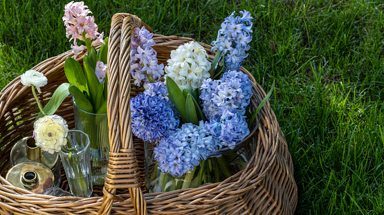 A large wicker basket with flowers, glasses and eggs. A series of photos, the focus is selective. The concept of outdoor recreation