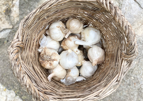 Wicker basket with garlic outside