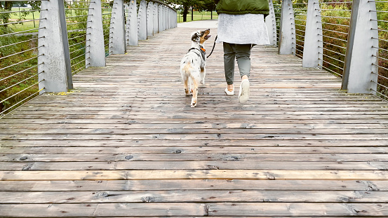 Woman walking with her dog on footbridge.