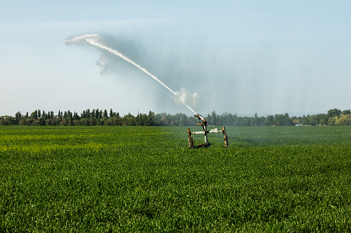 Guns Sprinkler Irrigation System Watering Wheat Field