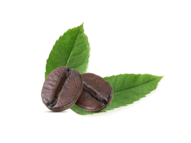 roasted coffee beans isolated on white background. with shadow