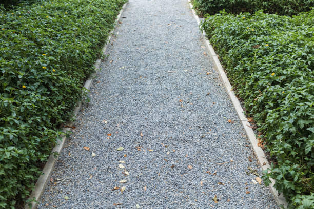 istock Stone walkway in garden. 1395533136
