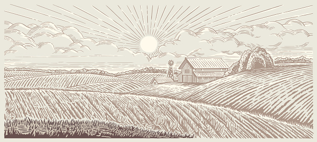 Farmland landscape with a farm in engraving style.