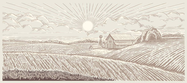 Farmland landscape with a farm in engraving style. vector art illustration