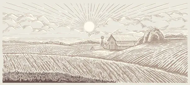 Vector illustration of Farmland landscape with a farm in engraving style.