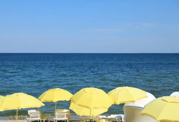 Many beach umbrellas at resort on sunny day