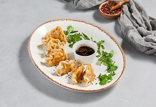 Oriental food - fried gyoza with sauce. Gyoza with pork in ceramic plate on gray concrete background.  Shrimp gyoza in minimal style. Aesthetic food menu