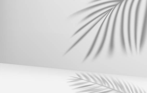 istock Bright room with shadow of leaves on the wall. 3d vector illustration 1395539231