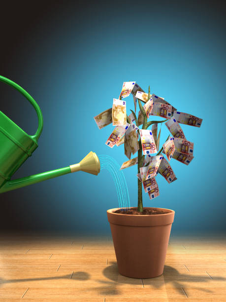 istock Money plant 1395539413