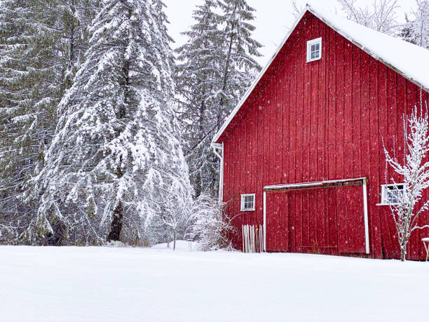 snowy barn - barn red old door photos et images de collection