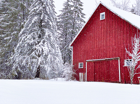 Red barn surrounded by trees in the snow