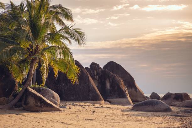 la puesta de sol de ensueño sobre la playa del océano con la palmera y enormes rocas, playa de dadonghai, sanya, hainan, china - isla de hainan fotografías e imágenes de stock