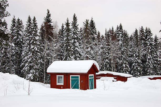 istock Red Cottage in Snowy Landscape 139554311