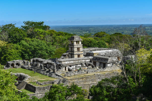 the ancient mayan complex in palenque, mexico - museum complex the americas north america usa imagens e fotografias de stock