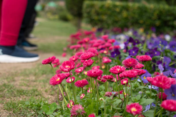 istock Nishat Baug, Srinagar Mughal Garden 1395545591