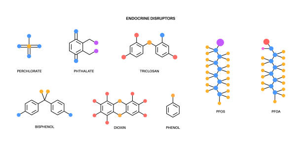 Endocrine disruptors formula Bisphenol, PFO, triclosanand, phenol and dioxin molecular formula icons. Endocrine disruptors concept. Organic pollutants in the environment. Set with chemical compounds vector illustration. persistent organic pollutants stock illustrations