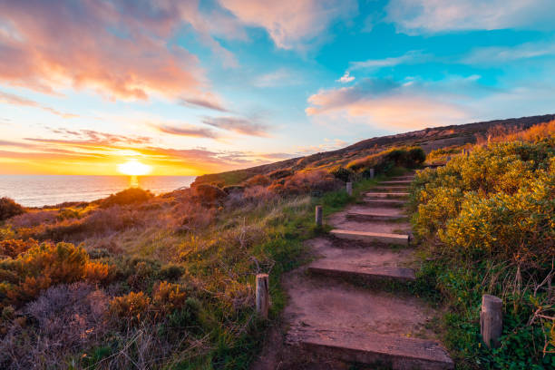 Wooden stairs going uphill at sunset