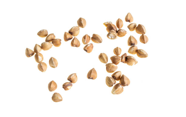 istock buckwheat groats on a white isolated background 1395546360