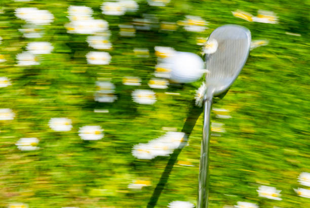 Golf sports can be practiced at the golf driving range, including driving and putting.