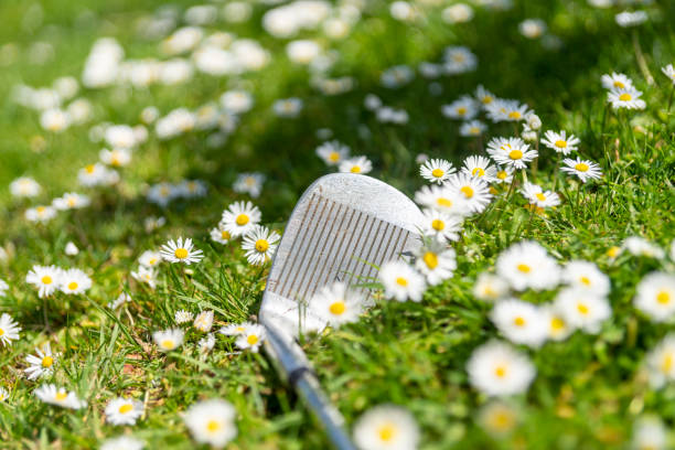 Detail of a Golf Ball on a Tee.