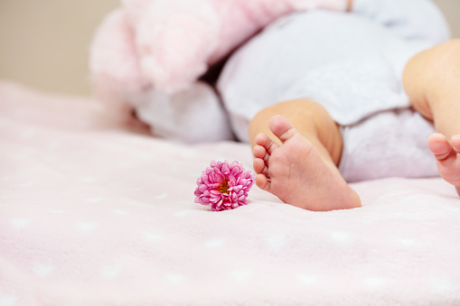 Legs of a little newborn baby girl lay in the crib with flower
