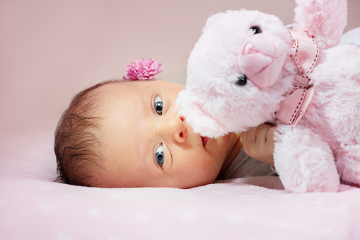 Portrait of the little newborn baby girl with flower, holding teddy bear