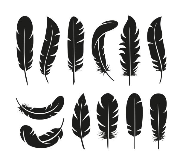 illustrations, cliparts, dessins animés et icônes de logo de plumes noires. plume moelleuse, silhouettes de plumage d’oiseau. pochoir à coupe lisse et plate isolée, éléments d’ailes souples bien rangés symboles vectoriels vintage - plume