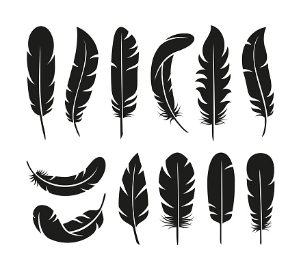 Black feathers logo. Fluffy feather, bird plumage silhouettes. Isolated flat smooth cut stencil, soft wings elements tidy vintage vector symbols. Illustration of feather bird plumage