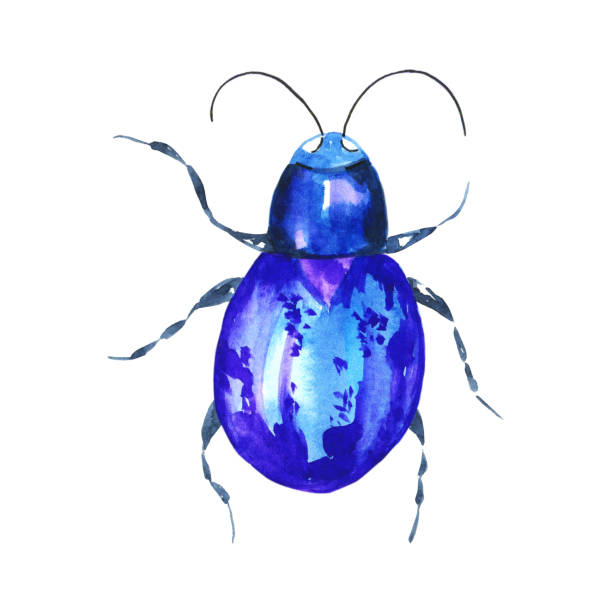 colorful insects, worms and bugs for web design. - 班蝥 幅插畫檔、美工圖案、卡通及圖標