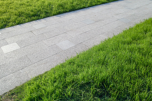 seamless top view of weeds between neglected, concrete tiles texture