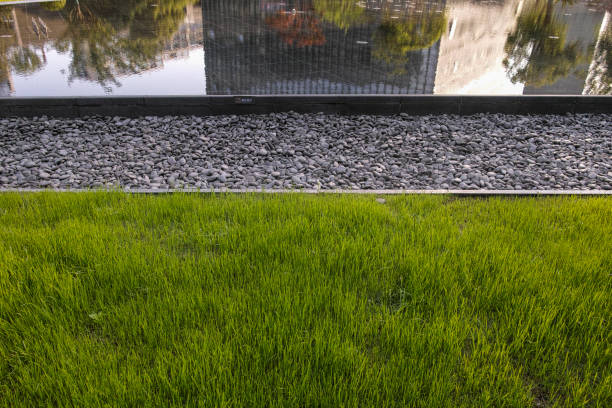 istock A reflecting pool by the lawn reflects the modern buildings 1395551954