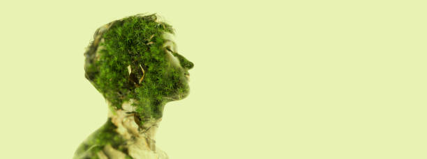 クリエイティブなイメージ。若い透明な男性と自然のプロフィールシルエット、薄緑色の背景の上に孤立した草の風景。散らし - symmetry individuality human face reflection ストックフォトと画像