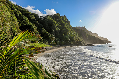 Sinai beach in Grand-Riviere, Martinique, French Antilles