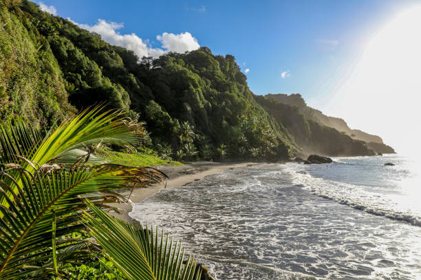 Sinai beach in Grand-Riviere, Martinique, French Antilles stock photo
