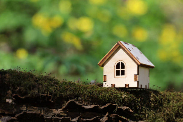 春の森の苔の上の木造住宅モデル - 林間の空き地 ストックフォトと画像