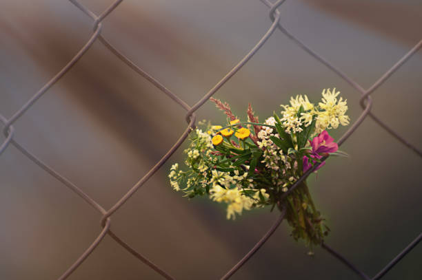 Bouquet in the rays of the sun in the grid from the fence in the sunlight