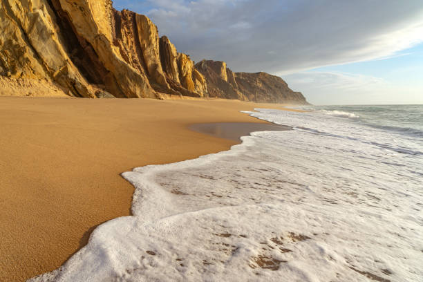 istock Virgin beach in a paradisiacal place with a beautiful light at sunset 1395564718