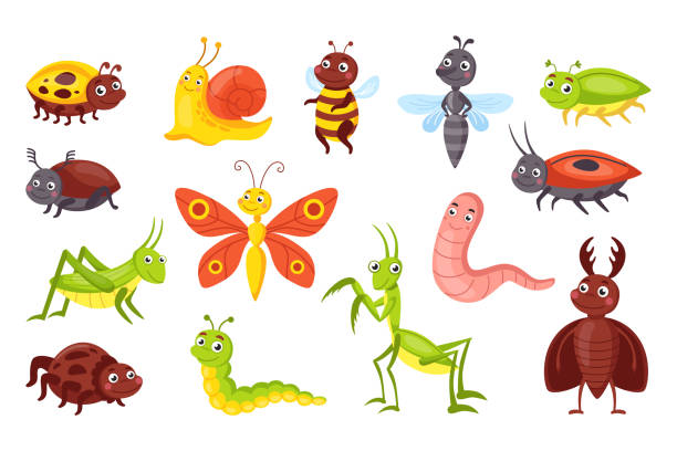 Funny insects. Cute little cartoon bugs set. Vector fun wildlife isolated sketch with ant and butterfly Funny insects. Cute little cartoon bugs set. Vector fun wildlife isolated sketch with ant and butterfly illustration creative pictures painted grasshopper stock illustrations