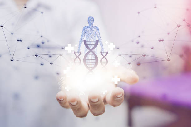 istock Doctor holding DNA icon and human hologram on virtual screen interface 1395571752