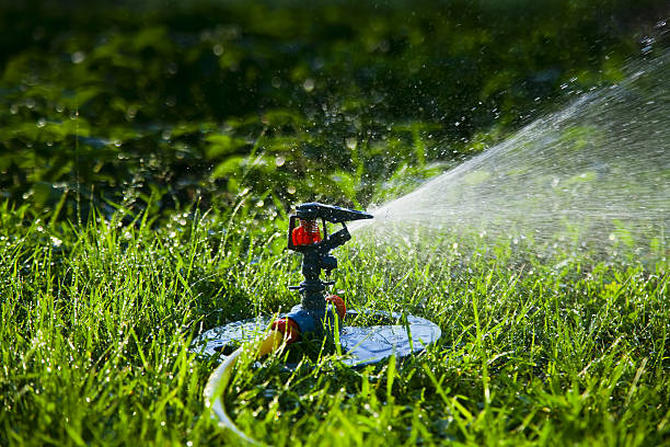 istock Watering the garden and lawn 139557193