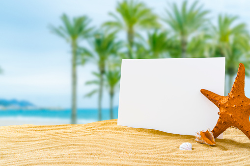 Blank card standing on gold colored sand dune with palm trees background. Starfish and conch shells complete the composition. High resolution 42Mp outdoors digital capture taken with SONY A7rII and Zeiss Batis 40mm F2.0 CF lens