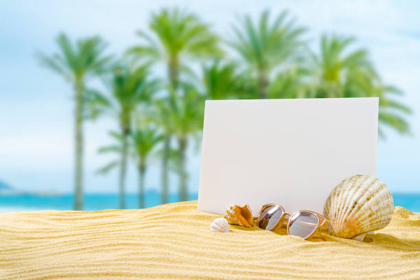 Clean white sandy beach and Wide and Large with copy space. Summer Holiday Background Pattern