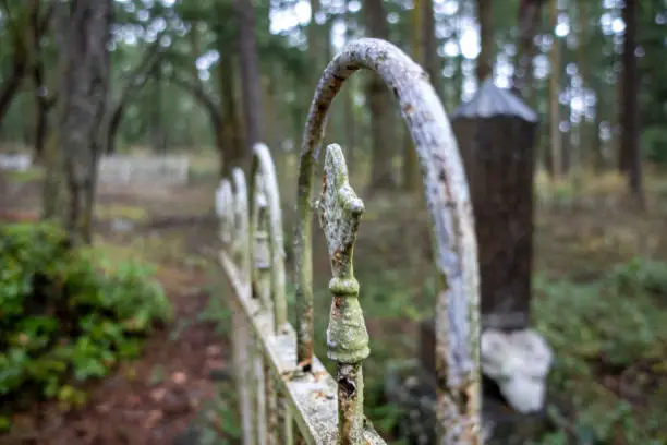 Photo of Selective focus on a rusted, wrought iron fence in a large, forested cemetery plot in the Pacific Northwest